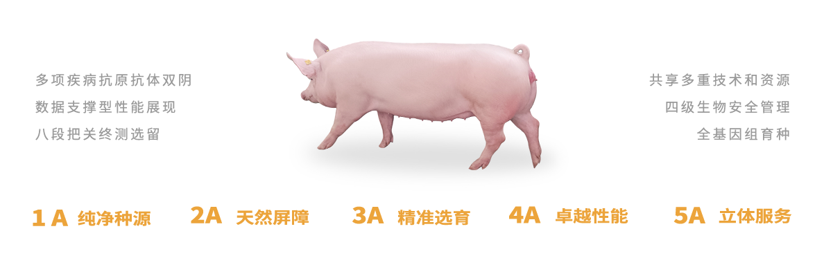 民望5A育种标准