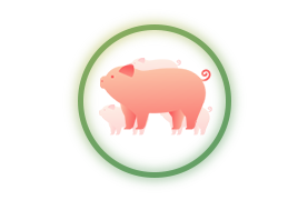 优中选优