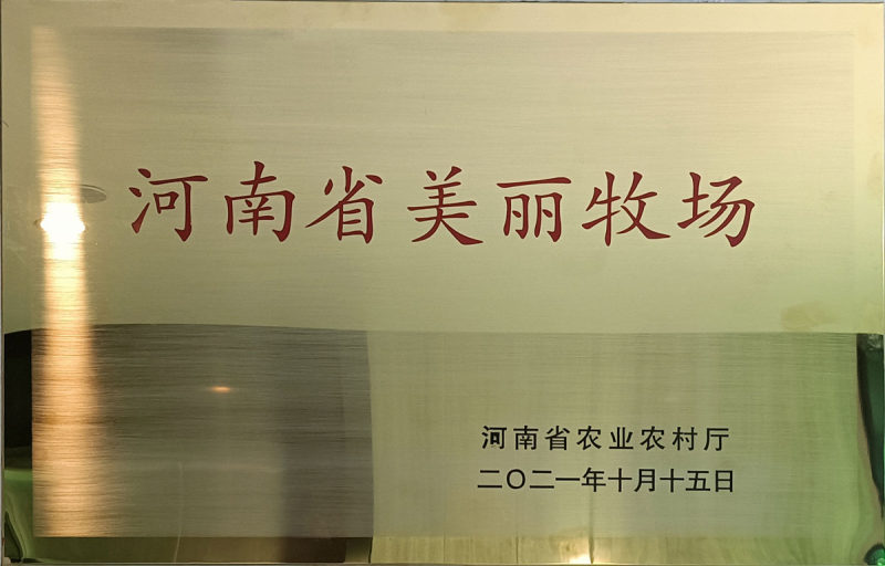 美丽牧场1.jpg