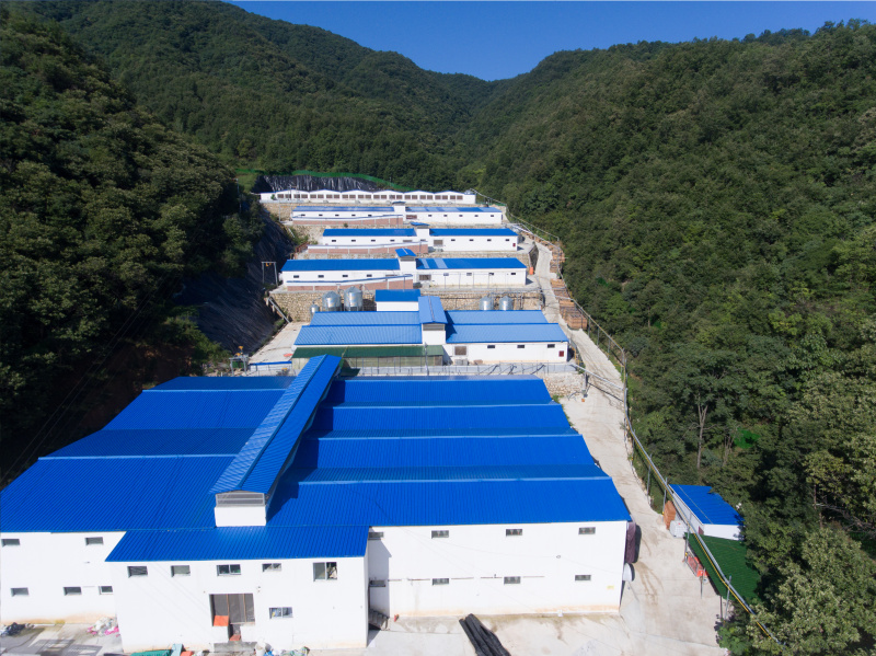 DJI_0046-修补.jpg
