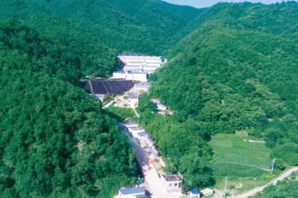 生物安全 | 高健康是民望育种的生命基石