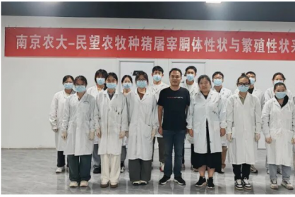 民望联合南京农大持续开展种猪胴体与繁殖性状测定与选育