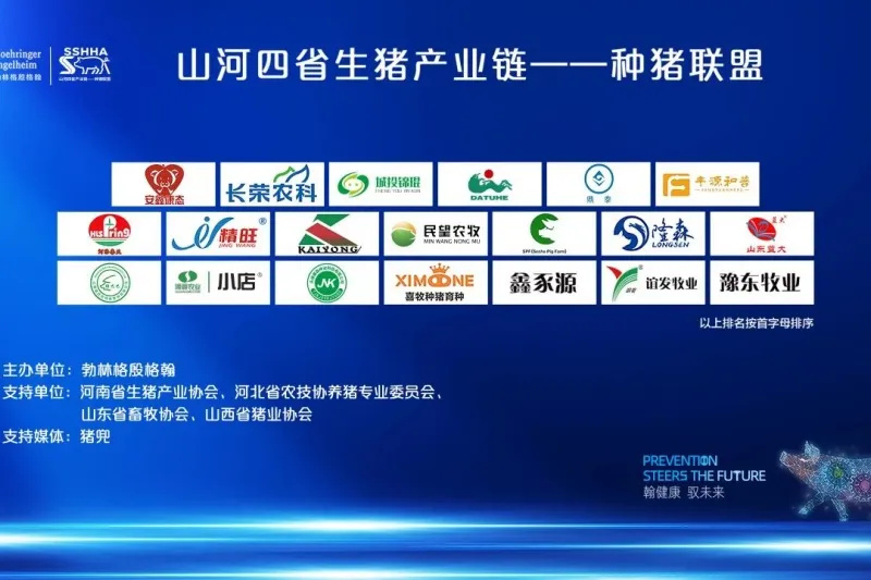 640_wx_fmt=jpeg&from=appmsg&tp=webp&wxfrom=5&wx_lazy=1 (4).jpg